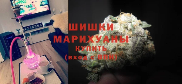 прущие грибы Горно-Алтайск