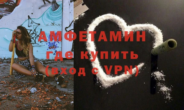прущие грибы Горно-Алтайск