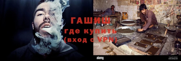 прущие грибы Горно-Алтайск