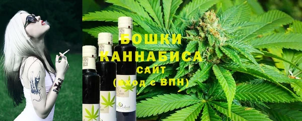 прущие грибы Горно-Алтайск