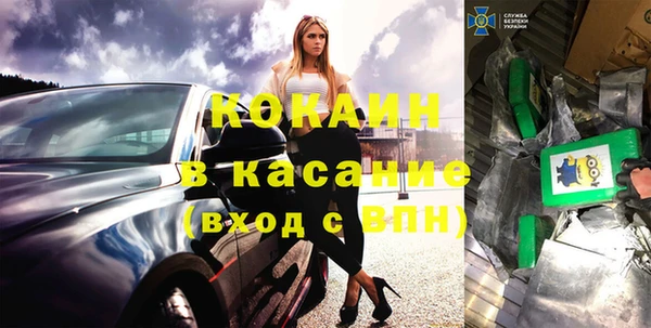 прущие грибы Горно-Алтайск