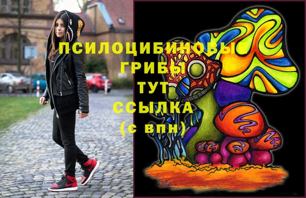 МДМА Горняк