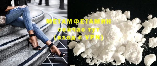 прущие грибы Горно-Алтайск