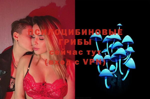 соль курить ск Горнозаводск