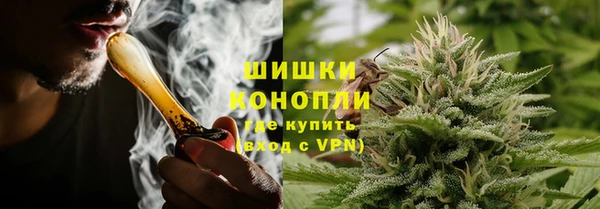 прущие грибы Горно-Алтайск